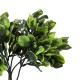 GloboStar® Artificial Garden ANUBIA BARTERI 20390 Τεχνητό Διακοσμητικό Φυτό Ανούμπια Υ30cm GloboStar® Artificial Garden ANUBIA BARTERI 20390 Τεχνητό Διακοσμητικό Φυτό Ανούμπια Υ30cm