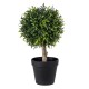 GloboStar® Artificial Garden FICUS BENJAMINA TREE 20397 Τεχνητό Διακοσμητικό Φυτό Φίκος Μπενζαμίνη Υ35cm GloboStar® Artificial Garden FICUS BENJAMINA TREE 20397 Τεχνητό Διακοσμητικό Φυτό Φίκος Μπενζαμίνη Υ35cm