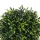 GloboStar® Artificial Garden FICUS BENJAMINA TREE 20397 Τεχνητό Διακοσμητικό Φυτό Φίκος Μπενζαμίνη Υ35cm GloboStar® Artificial Garden FICUS BENJAMINA TREE 20397 Τεχνητό Διακοσμητικό Φυτό Φίκος Μπενζαμίνη Υ35cm