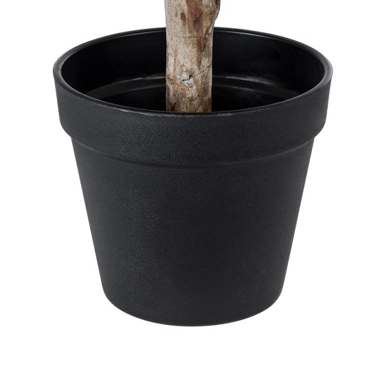 GloboStar® Artificial Garden FICUS BENJAMINA TREE 20397 Τεχνητό Διακοσμητικό Φυτό Φίκος Μπενζαμίνη Υ35cm GloboStar® Artificial Garden FICUS BENJAMINA TREE 20397 Τεχνητό Διακοσμητικό Φυτό Φίκος Μπενζαμίνη Υ35cm