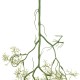 GloboStar® Artificial Garden EUCALYPTUS HANGING BRANCH 20409 Τεχνητό Διακοσμητικό Κρεμαστό Φυτό Ευκάλυπτος Υ89cm GloboStar® Artificial Garden EUCALYPTUS HANGING BRANCH 20409 Τεχνητό Διακοσμητικό Κρεμαστό Φυτό Ευκάλυπτος Υ89cm