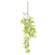 GloboStar® Artificial Garden SALIX MATSUDANA HANGING BRANCH 20411 Τεχνητό Διακοσμητικό Κρεμαστό Φυτό Ιτέα Υ80cm GloboStar® Artificial Garden SALIX MATSUDANA HANGING BRANCH 20411 Τεχνητό Διακοσμητικό Κρεμαστό Φυτό Ιτέα Υ80cm