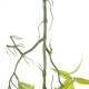 GloboStar® Artificial Garden SALIX MATSUDANA HANGING BRANCH 20411 Τεχνητό Διακοσμητικό Κρεμαστό Φυτό Ιτέα Υ80cm GloboStar® Artificial Garden SALIX MATSUDANA HANGING BRANCH 20411 Τεχνητό Διακοσμητικό Κρεμαστό Φυτό Ιτέα Υ80cm