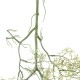 GloboStar® Artificial Garden EUCALYPTUS HANGING BRANCH 20412 Τεχνητό Διακοσμητικό Κρεμαστό Φυτό Ευκάλυπτος Υ90cm GloboStar® Artificial Garden EUCALYPTUS HANGING BRANCH 20412 Τεχνητό Διακοσμητικό Κρεμαστό Φυτό Ευκάλυπτος Υ90cm