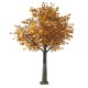 GloboStar® Artificial Garden ACER RUBRUM SYCAMORE TREE 20437 Τεχνητό Διακοσμητικό Δέντρο Κόκκινος Σφένδαμος Υ400cm GloboStar® Artificial Garden ACER RUBRUM SYCAMORE TREE 20437 Τεχνητό Διακοσμητικό Δέντρο Κόκκινος Σφένδαμος Υ400cm