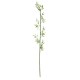 GloboStar® Artificial Garden BAMBOO BRANCH 20439 Τεχνητό Διακοσμητικό Κλαδί Μπαμπού Υ200cm GloboStar® Artificial Garden BAMBOO BRANCH 20439 Τεχνητό Διακοσμητικό Κλαδί Μπαμπού Υ200cm
