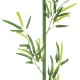 GloboStar® Artificial Garden BAMBOO BRANCH 20439 Τεχνητό Διακοσμητικό Κλαδί Μπαμπού Υ200cm GloboStar® Artificial Garden BAMBOO BRANCH 20439 Τεχνητό Διακοσμητικό Κλαδί Μπαμπού Υ200cm