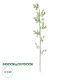 GloboStar® Artificial Garden BAMBOO BRANCH 20440 Τεχνητό Διακοσμητικό Κλαδί Μπαμπού Υ250cm GloboStar® Artificial Garden BAMBOO BRANCH 20440 Τεχνητό Διακοσμητικό Κλαδί Μπαμπού Υ250cm
