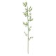 GloboStar® Artificial Garden BAMBOO BRANCH 20440 Τεχνητό Διακοσμητικό Κλαδί Μπαμπού Υ250cm GloboStar® Artificial Garden BAMBOO BRANCH 20440 Τεχνητό Διακοσμητικό Κλαδί Μπαμπού Υ250cm