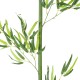 GloboStar® Artificial Garden BAMBOO BRANCH 20440 Τεχνητό Διακοσμητικό Κλαδί Μπαμπού Υ250cm GloboStar® Artificial Garden BAMBOO BRANCH 20440 Τεχνητό Διακοσμητικό Κλαδί Μπαμπού Υ250cm