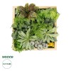GloboStar® Artificial Garden VARIOUS PLANT 20641 Τεχνητό Διακοσμητικό Φυλλωσιάς σε Ξύλινο Πάνελ - Κάθετος Κήπος Μιξ Μ60 x Π60 x Υ32cm