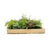 GloboStar® Artificial Garden VARIOUS PLANT 20641 Τεχνητό Διακοσμητικό Φυλλωσιάς σε Ξύλινο Πάνελ - Κάθετος Κήπος Μιξ Μ60 x Π60 x Υ32cm
