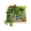 GloboStar® Artificial Garden VARIOUS PLANT 20641 Τεχνητό Διακοσμητικό Φυλλωσιάς σε Ξύλινο Πάνελ - Κάθετος Κήπος Μιξ Μ60 x Π60 x Υ32cm