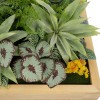 GloboStar® Artificial Garden VARIOUS PLANT 20641 Τεχνητό Διακοσμητικό Φυλλωσιάς σε Ξύλινο Πάνελ - Κάθετος Κήπος Μιξ Μ60 x Π60 x Υ32cm