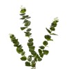 GloboStar® Artificial Garden EUCALYPTUS BRANCH 20484 Τεχνητό Διακοσμητικό Κλαδί Ευκάλυπτου Πράσινο Π30 x Μ30 x Υ80m