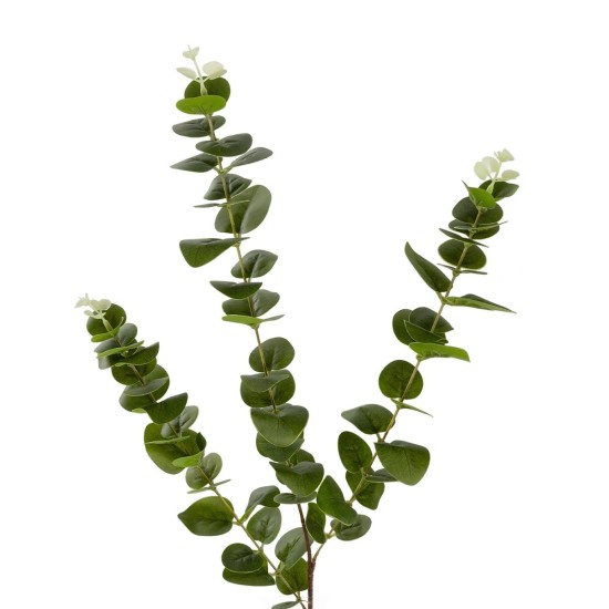 GloboStar® Artificial Garden EUCALYPTUS BRANCH 20484 Τεχνητό Διακοσμητικό Κλαδί Ευκάλυπτου Πράσινο Π30 x Μ30 x Υ80m GloboStar® Artificial Garden EUCALYPTUS BRANCH 20484 Τεχνητό Διακοσμητικό Κλαδί Ευκάλυπτου Πράσινο Π30 x Μ30 x Υ80m