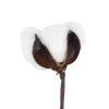 GloboStar® Artificial Garden COTTON BRANCH 20493 Τεχνητό Διακοσμητικό Κλαδί βαμβάκι Υ43cm