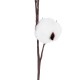 GloboStar® Artificial Garden COTTON BRANCH 20493 Τεχνητό Διακοσμητικό Κλαδί βαμβάκι Υ43cm