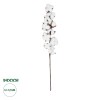 GloboStar® Artificial Garden COTTON BRANCH 20559 Τεχνητό Διακοσμητικό Κλαδί βαμβάκι Y55cm