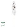 GloboStar® Artificial Garden COTTON BRANCH 20559 Τεχνητό Διακοσμητικό Κλαδί βαμβάκι Y55cm