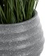GloboStar® Artificial Garden MARYLAND 20568 ΣΕΤ 2 Διακοσμητικά Πολυεστερικά Τσιμεντένιά Κασπώ Γλάστρες - Flower Pots Γκρι A:Φ39 x Υ45cm B:Φ29 x Υ40cm GloboStar® Artificial Garden MARYLAND 20568 ΣΕΤ 2 Διακοσμητικά Πολυεστερικά Τσιμεντένιά Κασπώ Γλάστρες - Flower Pots Γκρι A:Φ39 x Υ45cm B:Φ29 x Υ40cm