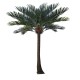 GloboStar® Artificial Garden COCONUT PALM TREE 20594 Τεχνητό Διακοσμητικό Φοινικόδεντρο Κοκοφοίνικας Υ500cm GloboStar® Artificial Garden COCONUT PALM TREE 20594 Τεχνητό Διακοσμητικό Φοινικόδεντρο Κοκοφοίνικας Υ500cm