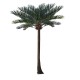 GloboStar® Artificial Garden COCONUT PALM TREE 20595 Τεχνητό Διακοσμητικό Φοινικόδεντρο Κοκοφοίνικας Υ600cm GloboStar® Artificial Garden COCONUT PALM TREE 20595 Τεχνητό Διακοσμητικό Φοινικόδεντρο Κοκοφοίνικας Υ600cm