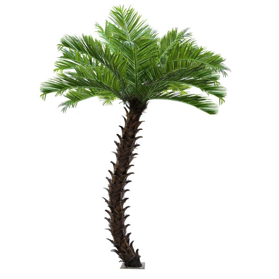 GloboStar® Artificial Garden PHOENIX ROEBELENII PALM TREE 20596 Τεχνητό Διακοσμητικό Φυτό Φοινικόδεντρο Ρομπελίνι Εξωτερικού Χώρου IP68 UV Certified Protection Υ500cm GloboStar® Artificial Garden PHOENIX ROEBELENII PALM TREE 20596 Τεχνητό Διακοσμητικό Φυτό Φοινικόδεντρο Ρομπελίνι Εξωτερικού Χώρου IP68 UV Certified Protection Υ500cm
