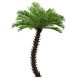 GloboStar® Artificial Garden PHOENIX ROEBELENII PALM TREE 20596 Τεχνητό Διακοσμητικό Φυτό Φοινικόδεντρο Ρομπελίνι Εξωτερικού Χώρου IP68 UV Certified Protection Υ500cm GloboStar® Artificial Garden PHOENIX ROEBELENII PALM TREE 20596 Τεχνητό Διακοσμητικό Φυτό Φοινικόδεντρο Ρομπελίνι Εξωτερικού Χώρου IP68 UV Certified Protection Υ500cm