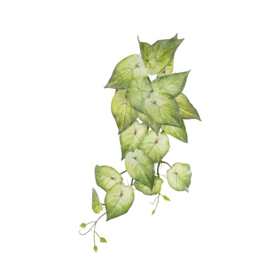 GloboStar® Artificial Garden SYNGONIUM HANGING PLANT 20598 Τεχνητό Διακοσμητικό Κρεμαστό Φυτό Συγκόνιο Υ50cm GloboStar® Artificial Garden SYNGONIUM HANGING PLANT 20598 Τεχνητό Διακοσμητικό Κρεμαστό Φυτό Συγκόνιο Υ50cm