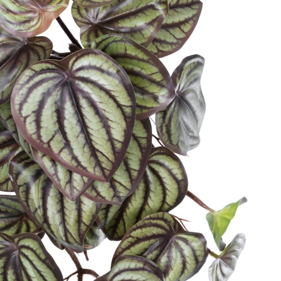 GloboStar® Artificial Garden PEPEROMIA HANGING PLANT 20602 Τεχνητό Διακοσμητικό Κρεμαστό Φυτό Πεπερόμια Υ45cm GloboStar® Artificial Garden PEPEROMIA HANGING PLANT 20602 Τεχνητό Διακοσμητικό Κρεμαστό Φυτό Πεπερόμια Υ45cm