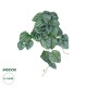 GloboStar® Artificial Garden PEPEROMIA HANGING PLANT 20603 Τεχνητό Διακοσμητικό Κρεμαστό Φυτό Πεπερόμια Υ45cm GloboStar® Artificial Garden PEPEROMIA HANGING PLANT 20603 Τεχνητό Διακοσμητικό Κρεμαστό Φυτό Πεπερόμια Υ45cm