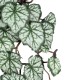 GloboStar® Artificial Garden REX BEGONIA HANGING PLANT 20604 Τεχνητό Διακοσμητικό Κρεμαστό Φυτό Βιγόνια Υ45cm GloboStar® Artificial Garden REX BEGONIA HANGING PLANT 20604 Τεχνητό Διακοσμητικό Κρεμαστό Φυτό Βιγόνια Υ45cm