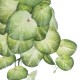 GloboStar® Artificial Garden SYNGONIUM HANGING PLANT 20607 Τεχνητό Διακοσμητικό Κρεμαστό Φυτό Συγκόνιο Υ45cm GloboStar® Artificial Garden SYNGONIUM HANGING PLANT 20607 Τεχνητό Διακοσμητικό Κρεμαστό Φυτό Συγκόνιο Υ45cm