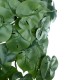 GloboStar® Artificial Garden MONSTERA HANGING PLANT 20613 - Τεχνητό Διακοσμητικό Κρεμαστό Φυτό Μονστέρα Υ45cm GloboStar® Artificial Garden MONSTERA HANGING PLANT 20613 - Τεχνητό Διακοσμητικό Κρεμαστό Φυτό Μονστέρα Υ45cm