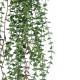 GloboStar® Artificial Garden EUCALYPTUS HANGING PLANT 20618 Τεχνητό Διακοσμητικό Κρεμαστό Φυτό Ευκάλυπτος Υ130cm GloboStar® Artificial Garden EUCALYPTUS HANGING PLANT 20618 Τεχνητό Διακοσμητικό Κρεμαστό Φυτό Ευκάλυπτος Υ130cm