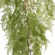 GloboStar® Artificial Garden HANGING FERN 20620 Τεχνητό Διακοσμητικό Κρεμαστό Φυτό Φτέρης Μ32 x Π14 x Υ96cm GloboStar® Artificial Garden HANGING FERN 20620 Τεχνητό Διακοσμητικό Κρεμαστό Φυτό Φτέρης Μ32 x Π14 x Υ96cm