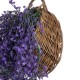 GloboStar® Artificial Garden GOLDEN BELL WILLOW 3 HANGING PLANT 20631 Κρεμαστό Τεχνητό Διακοσμητικό Φυτό Ιτίας Y110cm GloboStar® Artificial Garden GOLDEN BELL WILLOW 3 HANGING PLANT 20631 Κρεμαστό Τεχνητό Διακοσμητικό Φυτό Ιτίας Y110cm