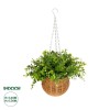 GloboStar® Artificial Garden EUCALYPTUS HANGING PLANT 20640 Τεχνητό Κρεμαστό Διακοσμητικό Φυτό Φτέρης Π45 x Μ45 x Y30cm
