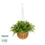 GloboStar® Artificial Garden EUCALYPTUS HANGING PLANT 20640 Τεχνητό Κρεμαστό Διακοσμητικό Φυτό Φτέρης Π45 x Μ45 x Y30cm