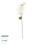 GloboStar® Artificial Garden BOUGAUVILLEA BRANCH 20659 Τεχνητό Διακοσμητικό Κλαδί Μπουκανβίλιας Λευκή Y80cm