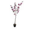 GloboStar® Artificial Garden BOUGAUVILLEA 20675 Τεχνητό Διακοσμητικό Φυτό με Ανθη Μπουκανβίλιας Φουξ Υ150cm