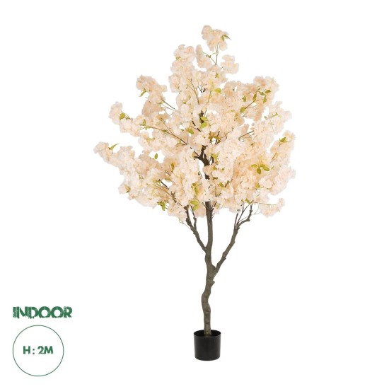 GloboStar® Artificial Garden SALMON CHERRY BLOSSOM TREE 20680 Τεχνητό Διακοσμητικό Δέντρο Απαλό Ροζ Άνθος Κερασιάς Υ200cm GloboStar® Artificial Garden SALMON CHERRY BLOSSOM TREE 20680 Τεχνητό Διακοσμητικό Δέντρο Απαλό Ροζ Άνθος Κερασιάς Υ200cm