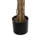 GloboStar® Artificial Garden WISTERIA PINK 20681 Τεχνητό Διακοσμητικό Δέντρο Ροζ Βιστερία Μ60 x Π60 x Υ180cm GloboStar® Artificial Garden WISTERIA PINK 20681 Τεχνητό Διακοσμητικό Δέντρο Ροζ Βιστερία Μ60 x Π60 x Υ180cm