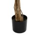 GloboStar® Artificial Garden WISTERIA PURPLE 20682 Τεχνητό Διακοσμητικό Δέντρο Μωβ Βιστερία Μ60 x Π60 x Υ180cm GloboStar® Artificial Garden WISTERIA PURPLE 20682 Τεχνητό Διακοσμητικό Δέντρο Μωβ Βιστερία Μ60 x Π60 x Υ180cm