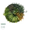 GloboStar® Artificial Garden VARIOUS PLANTS ROUND WALL DISC 20688 Τεχνητό Διακοσμητικό Στρογγυλό Πάνελ Φυλλωσιάς - Κάθετος Κήπος Μιξ Μ50 x Π50 x Υ23cm