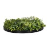 GloboStar® Artificial Garden VARIOUS PLANTS ROUND WALL DISC 20689 Τεχνητό Διακοσμητικό Στρογγυλό Πάνελ Φυλλωσιάς - Κάθετος Κήπος Μιξ Μ70 x Π70 x Υ15cm