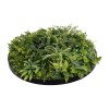 GloboStar® Artificial Garden VARIOUS PLANTS ROUND WALL DISC 20689 Τεχνητό Διακοσμητικό Στρογγυλό Πάνελ Φυλλωσιάς - Κάθετος Κήπος Μιξ Μ70 x Π70 x Υ15cm