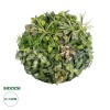 GloboStar® Artificial Garden VARIOUS PLANTS ROUND WALL DISC 20690 Τεχνητό Διακοσμητικό Στρογγυλό Πάνελ Φυλλωσιάς - Κάθετος Κήπος Μιξ Μ80 x Π80 x Υ20cm