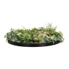 GloboStar® Artificial Garden VARIOUS PLANTS ROUND WALL DISC 20690 Τεχνητό Διακοσμητικό Στρογγυλό Πάνελ Φυλλωσιάς - Κάθετος Κήπος Μιξ Μ80 x Π80 x Υ20cm